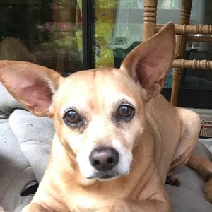 Meet your Posher, Kevin